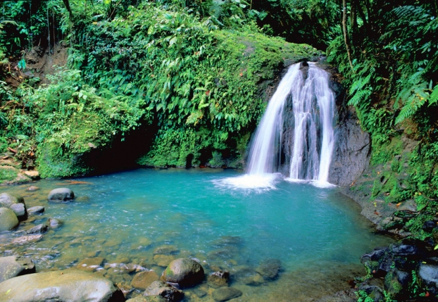 http://www.okvoyage.com/images/article/101-photo-guadeloupe/guadeloupe-cascade-ecrevisses-resize.jpg