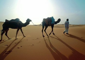 Caravane dans le d&eacute;sert
