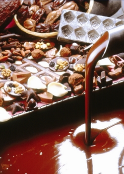 Les chocolats de Bruxelles, les meilleurs au monde !