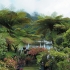 Photo actuelle : Case noy�e dans la for�t tropicale