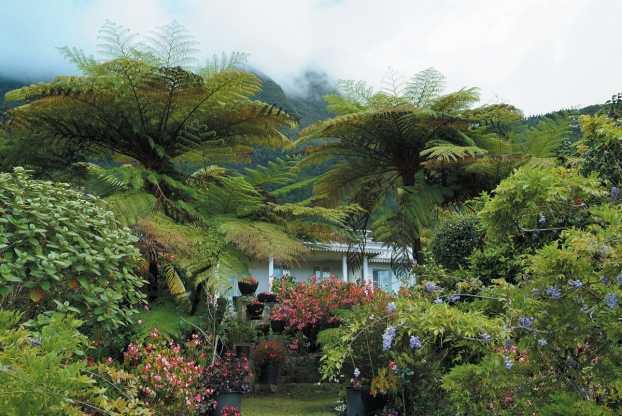 Case noy�e dans la for�t tropicale