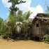 Photo suivante : Le delta du Mekong