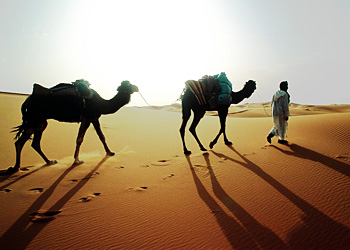 Tourisme durable