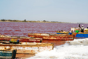 Lac rose