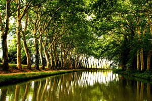 Canal du midi Canal du midi