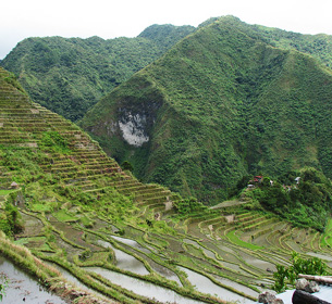 Banaue rizieres Banaue rizieres
