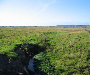 Côte Ouest du Groenland Côte Ouest du Groenland