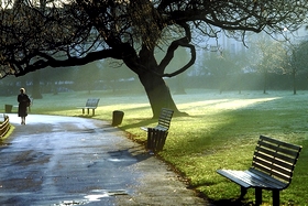 Regent's park