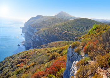 Le parc naturel d'Arribida