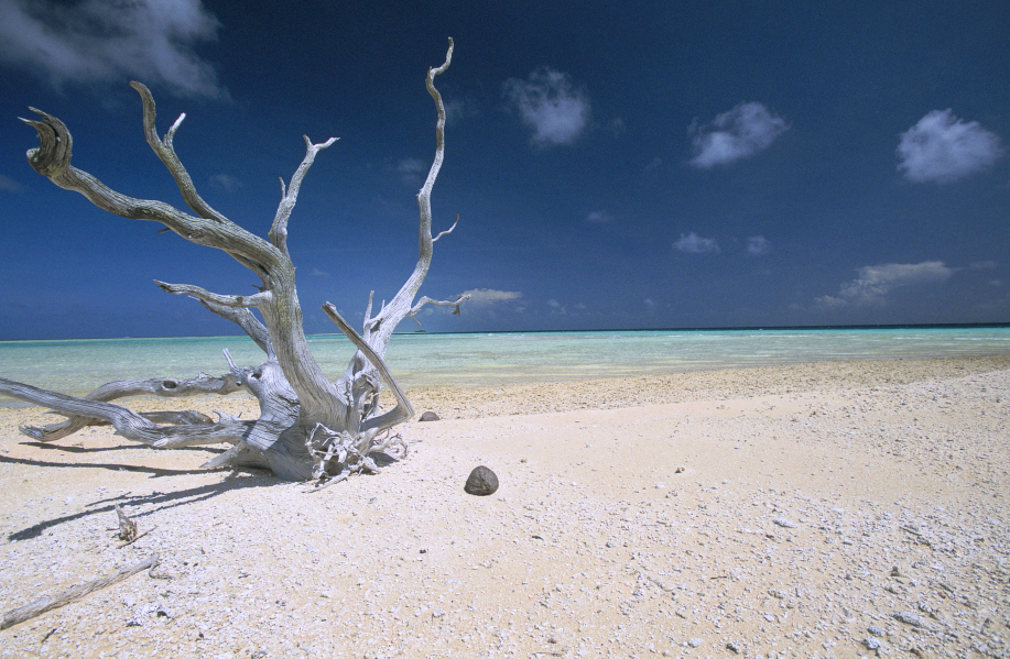 Plage de sable rose à Fakarava