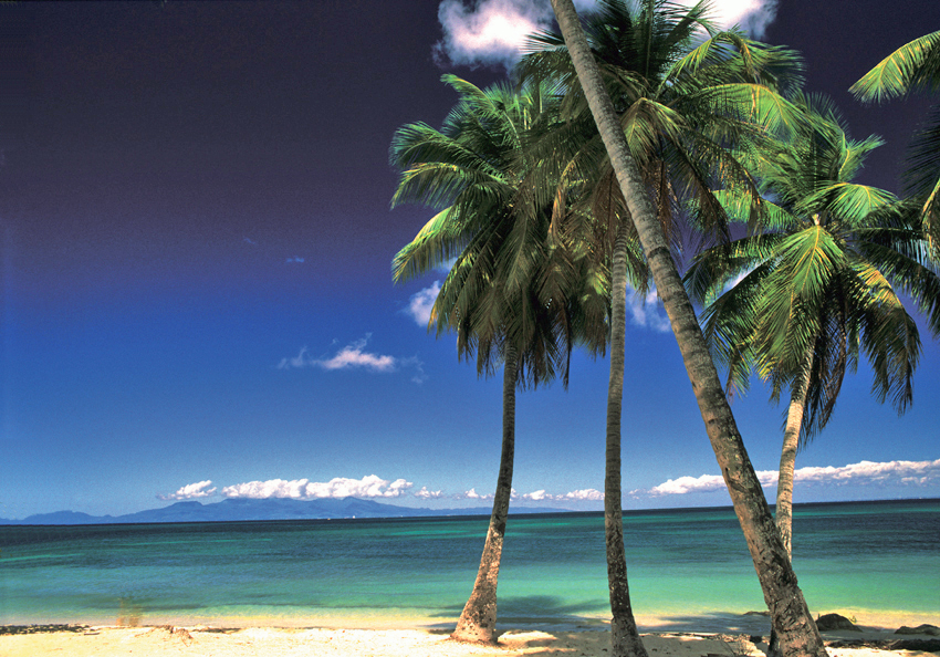 Plage de Raisins-Clairs à Saint-François à Grande Terre