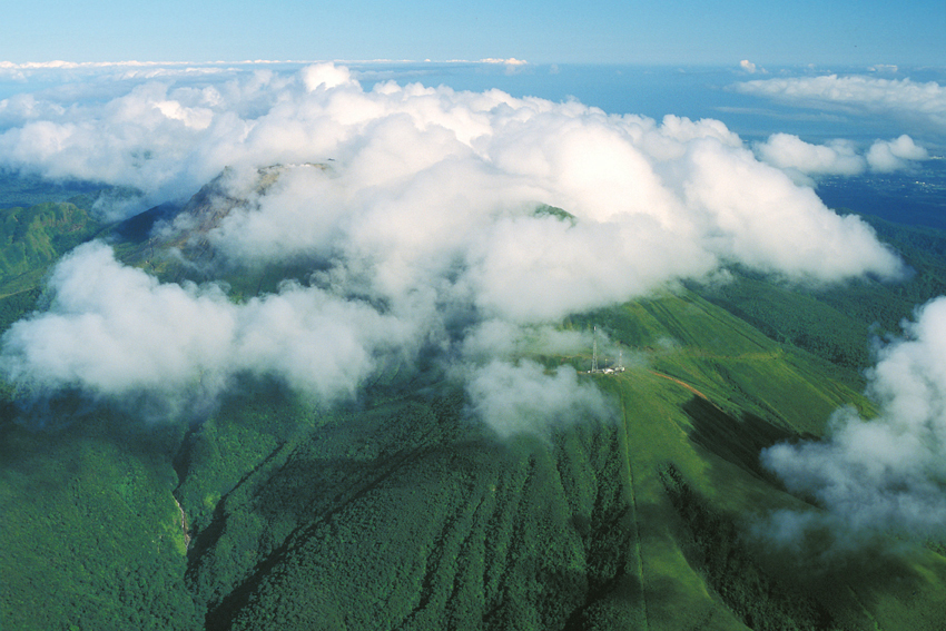 Le sommet du volcan la Soufrière à basse Terre