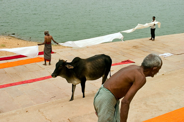 Pèlerins faisant sécher leurs Dhotis à Pushkar