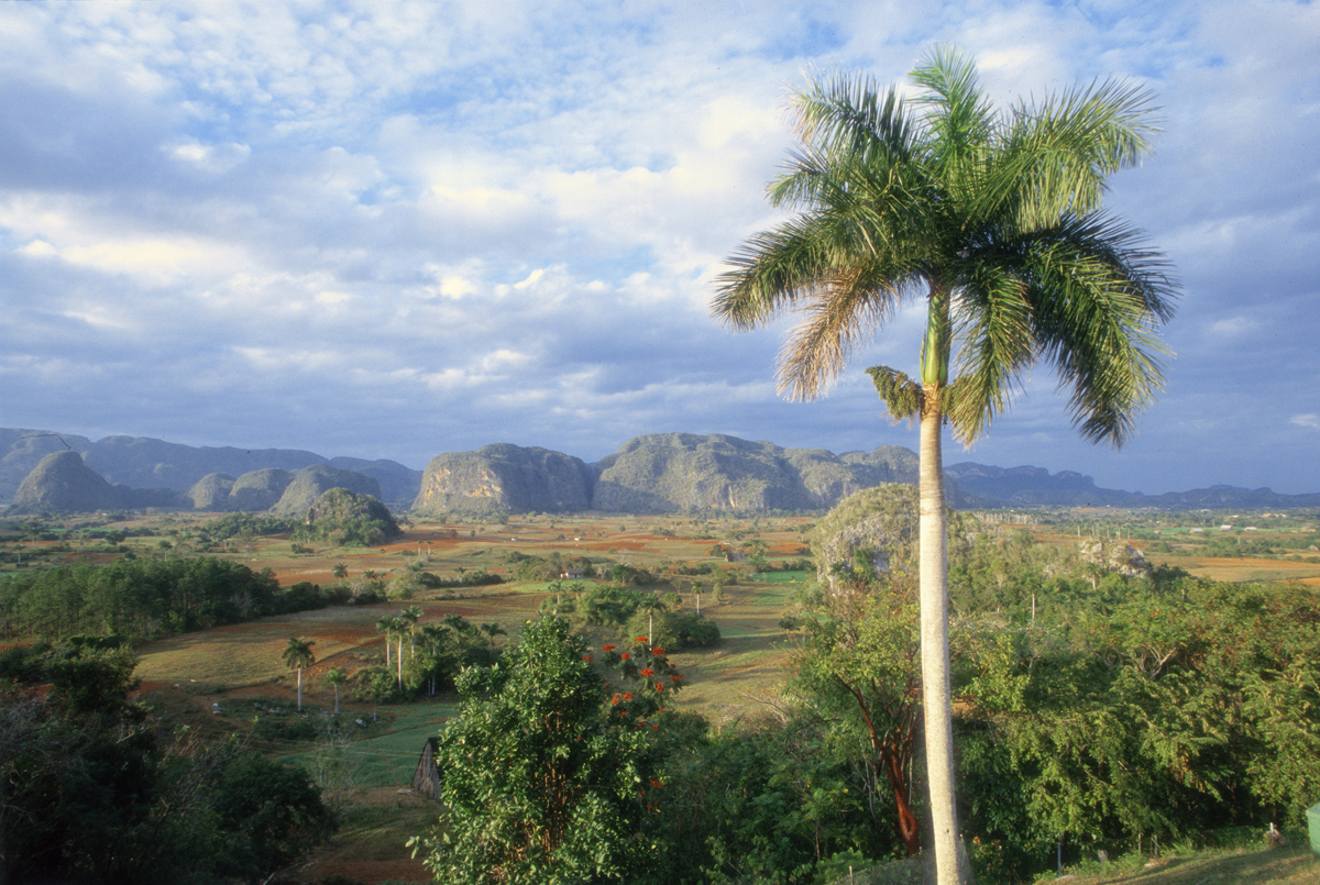 Vallée de Vinales