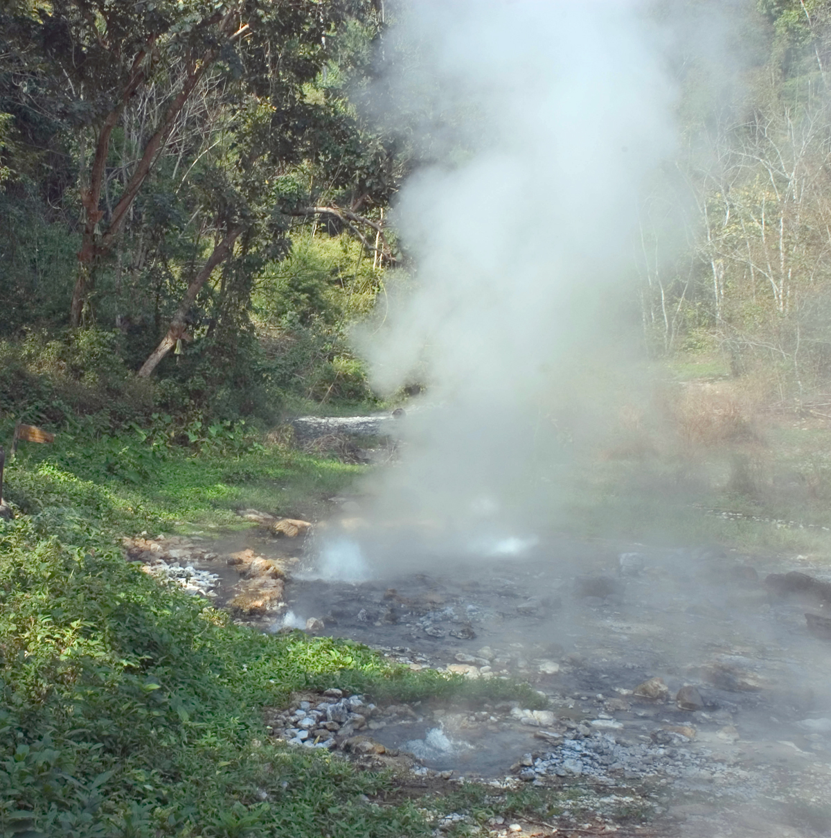 Geyser près de Paï