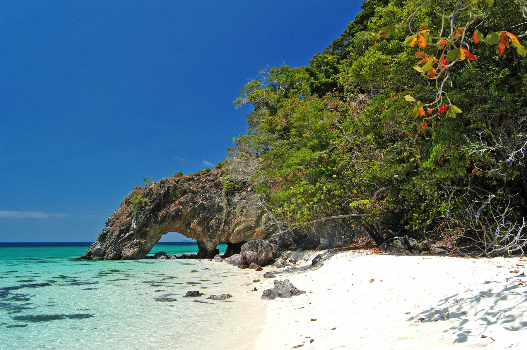 Plage de la mer d'Andaman, à proximité de Phuket