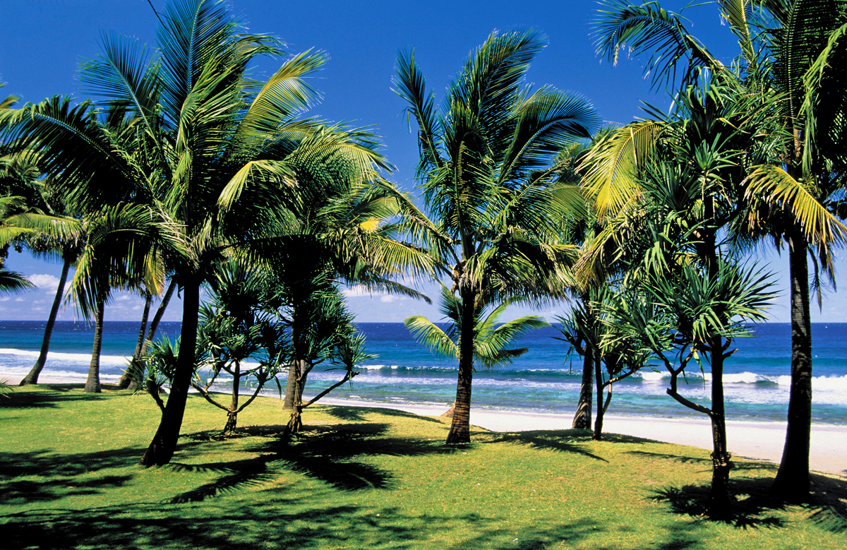 La plage de Grande Anse