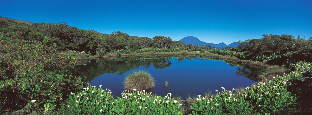 Piton de l'eau