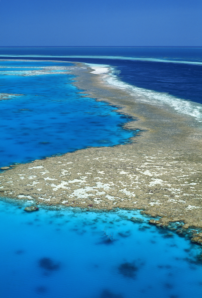 Wielka bariera koralowa