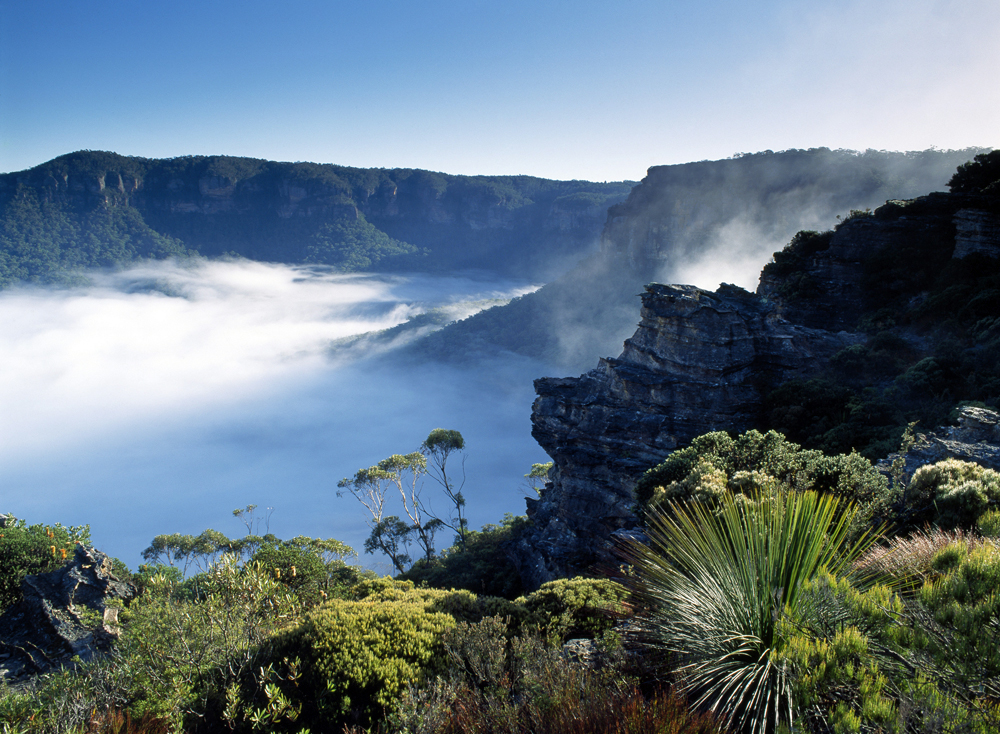 Les Blue Mountains ou Montagnes bleues