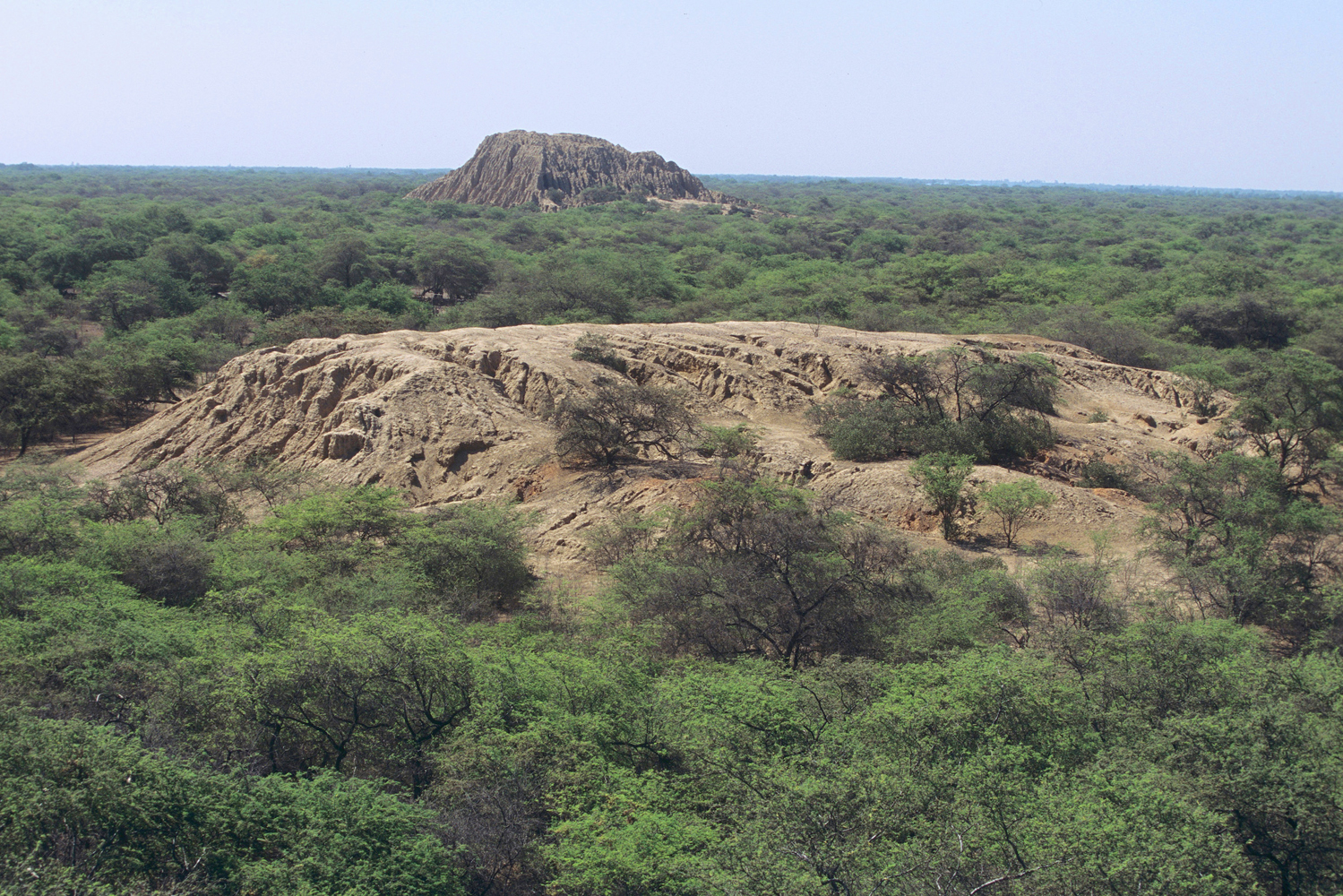 Vallée des pyramides de Tucume