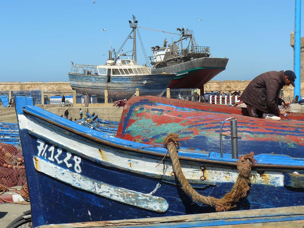 in the port of Essaouira