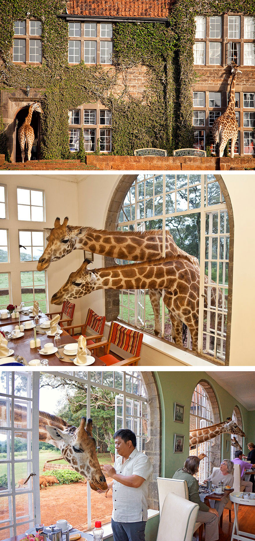 Giraffe Manor, Kenya 