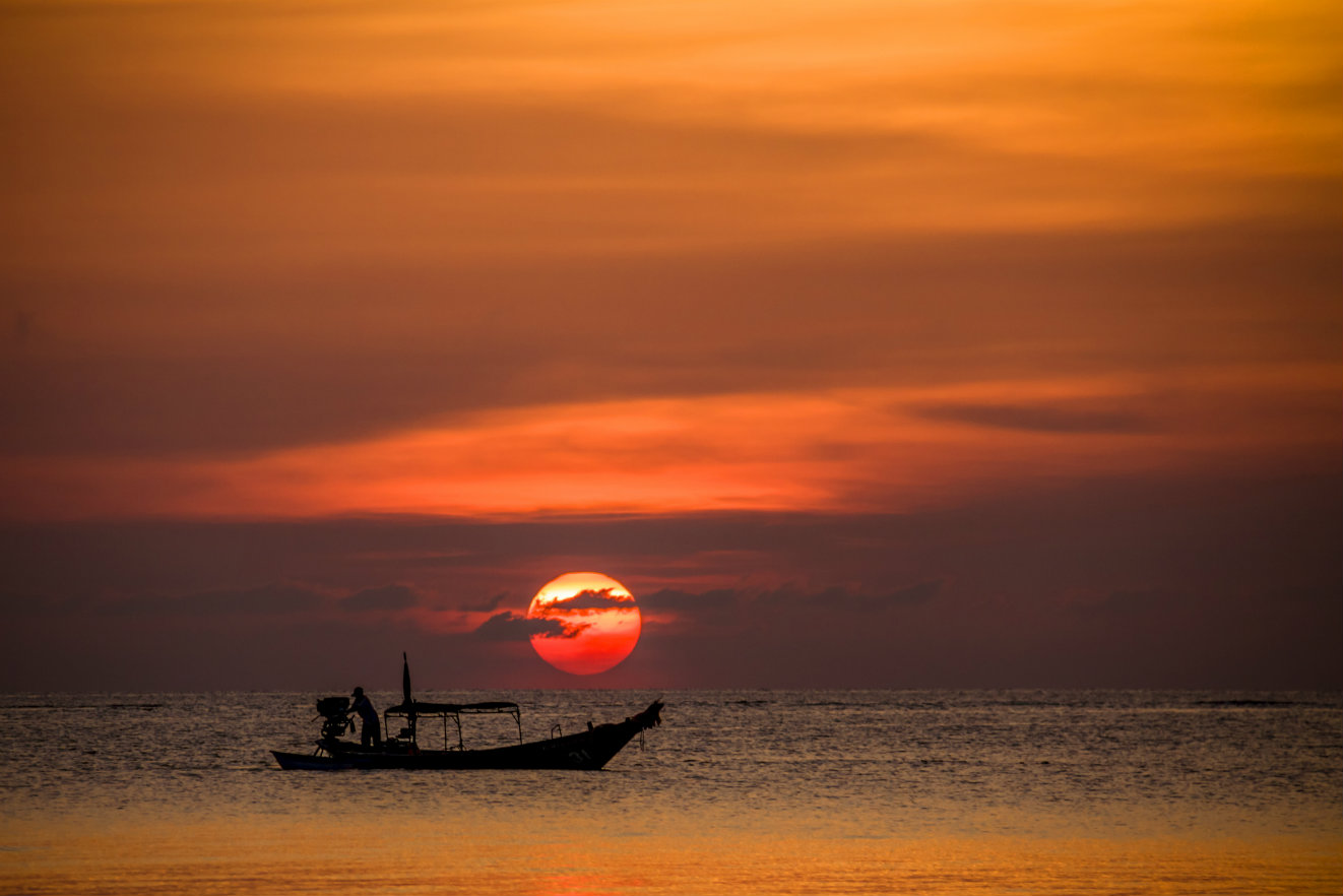 Koh Tao et ses tortues thaïlandaises