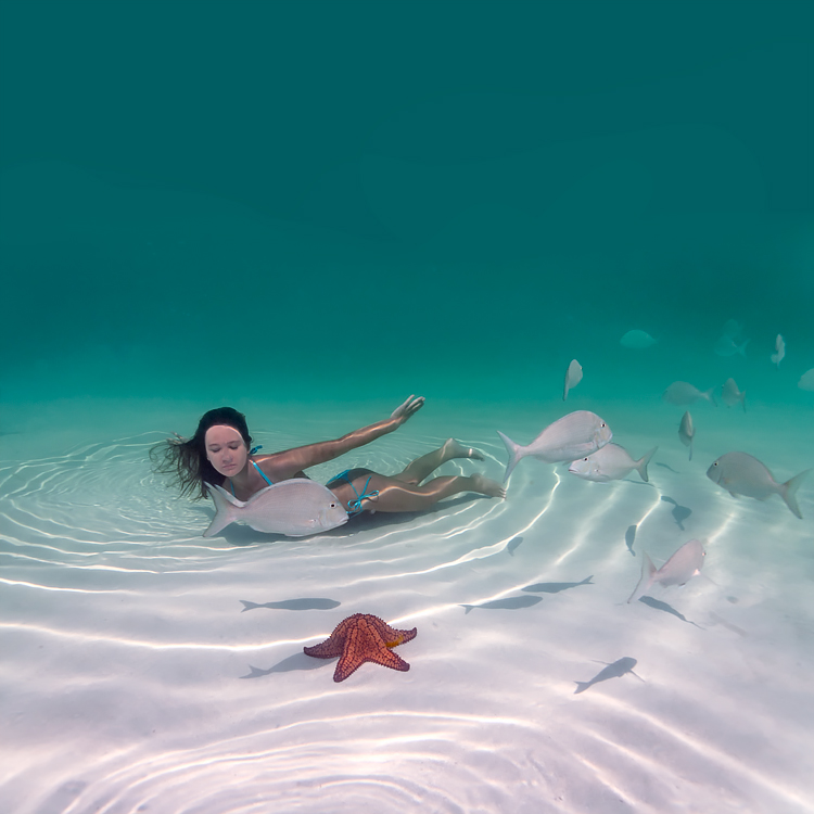 Les plus belles photos sous-marines des Bahamas