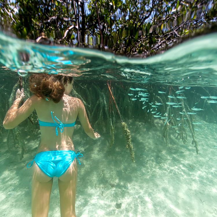 Les plus belles photos sous-marines des Bahamas