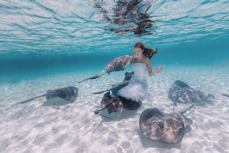Plongée sous-marine aux Bahamas avec Sacha Kalis