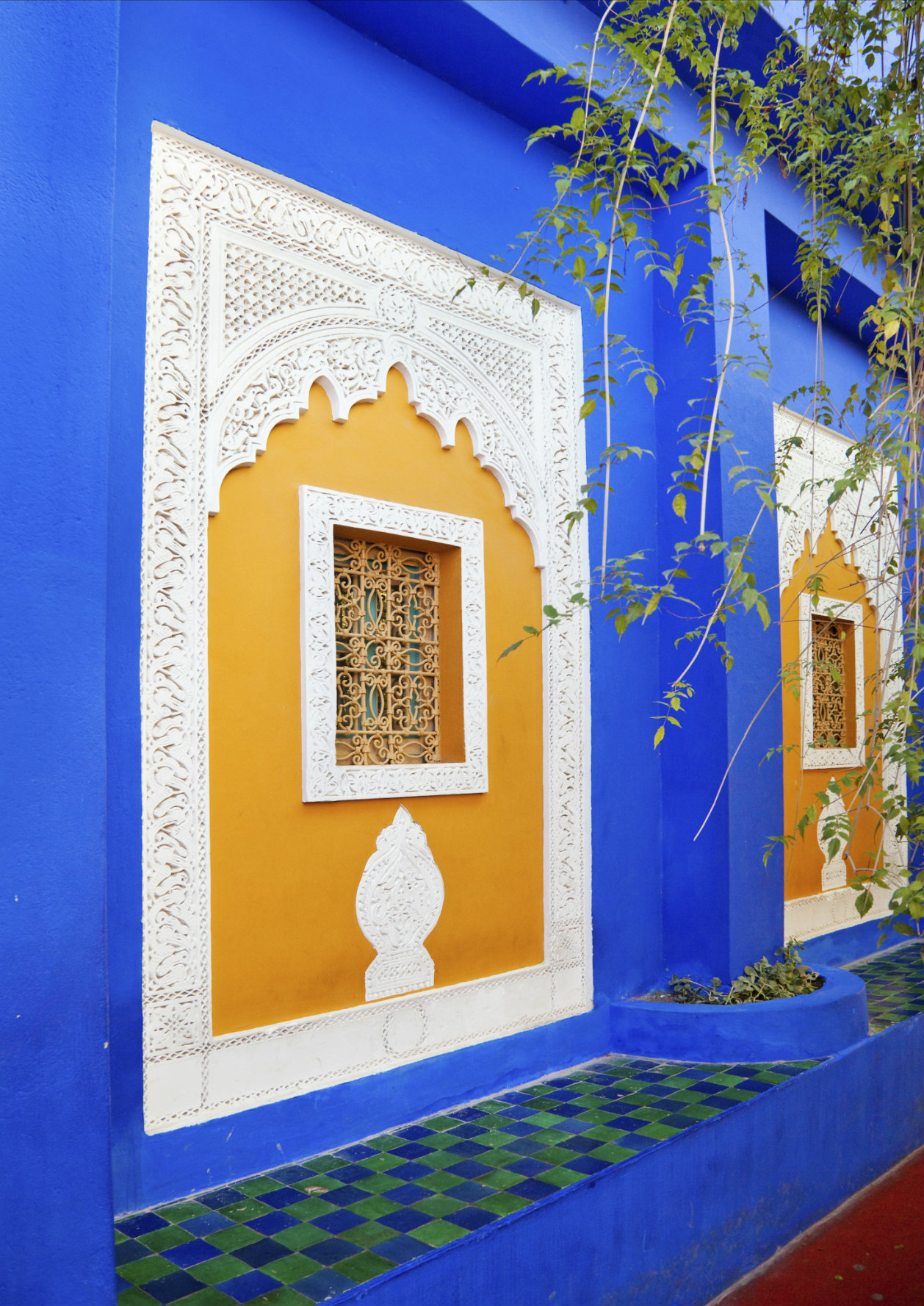 Nos 10 plus belles photos du jardin Majorelle à Marrakech