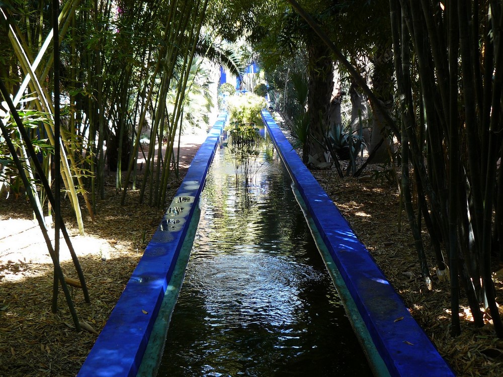 Nos 10 plus belles photos du jardin Majorelle à Marrakech