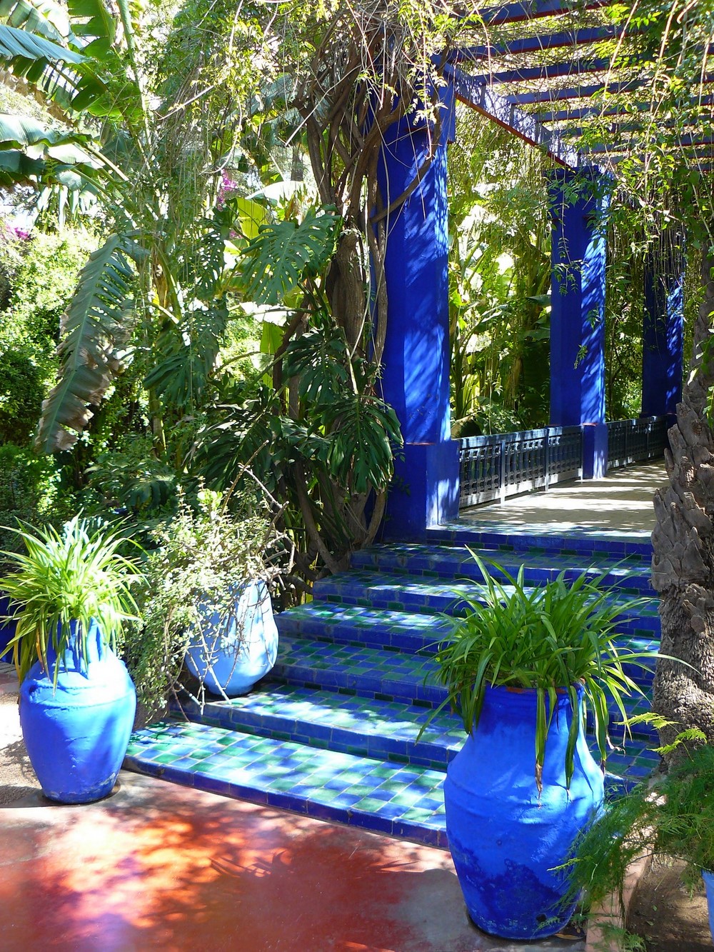 Nos 10 plus belles photos du jardin Majorelle à Marrakech