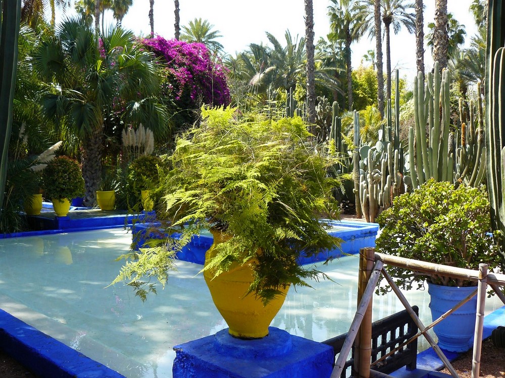 Nos 10 plus belles photos du jardin Majorelle à Marrakech