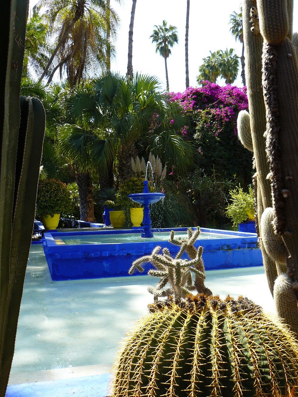 Nos 10 plus belles photos du jardin Majorelle à Marrakech