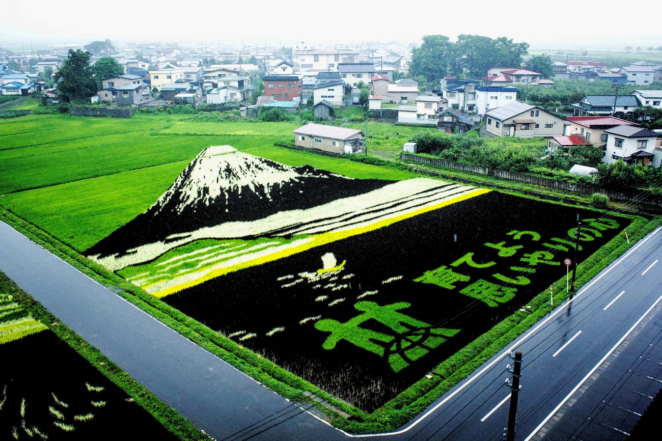 Mont Fuji en Tambo Art, spécialité du village d'Inakadate
