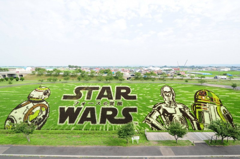 Tambo Art en hommage à Star Wars à Inakadate