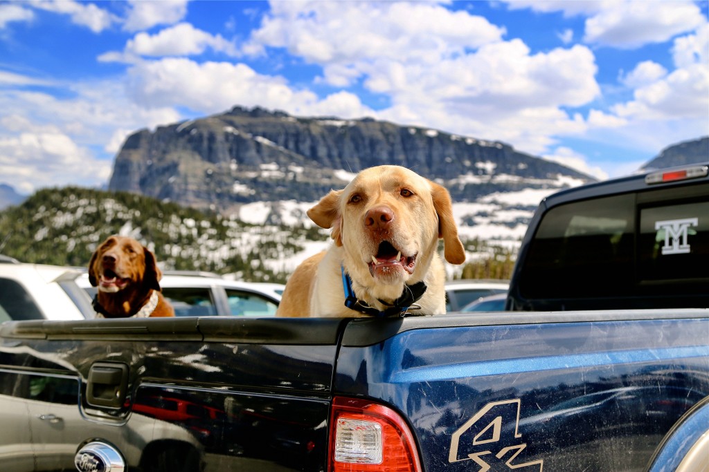 Going To The Sun Road, Montana