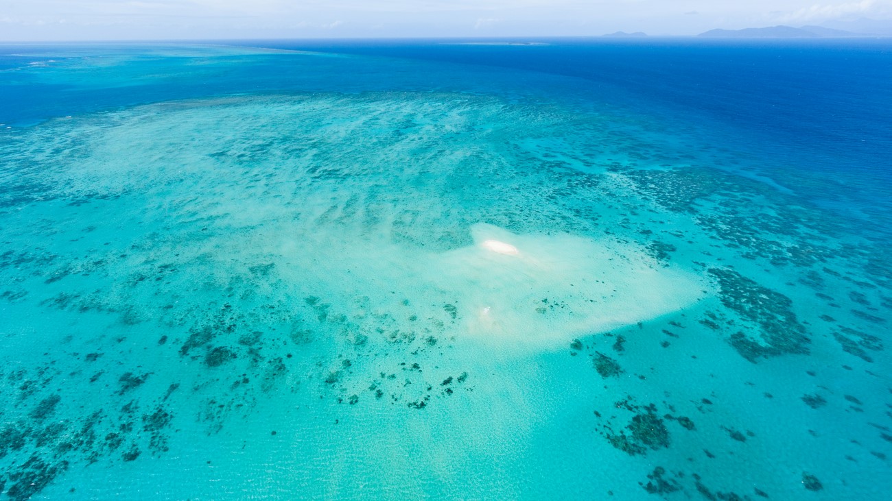 La Grande Barrière de corail (Australie)