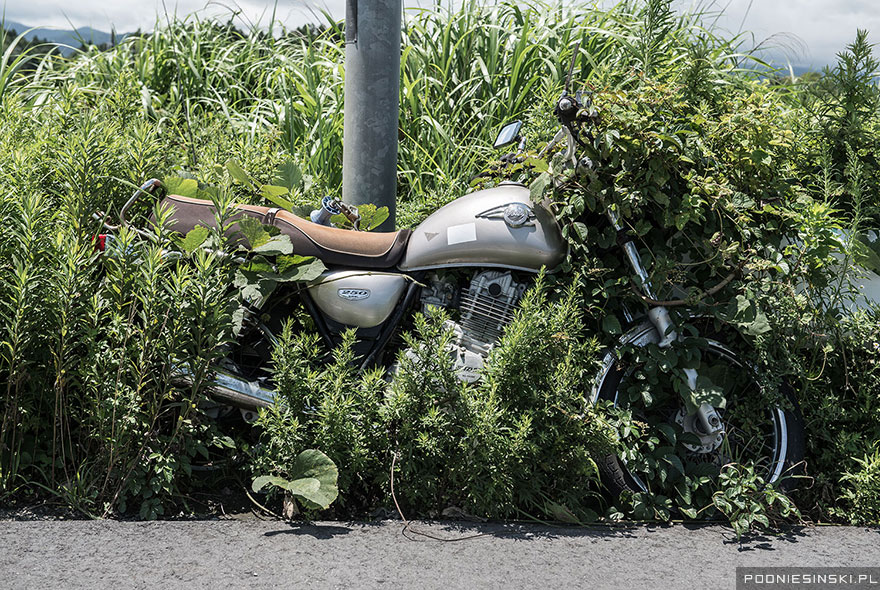 Zone d'exclusion de Fukushima, 2015