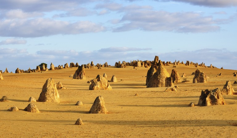 The Pinnacles Desert