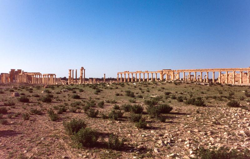 Cité antique de Palmyre dans le désert de Syrie
