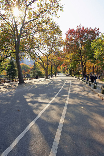Piste cyclable à Central Park