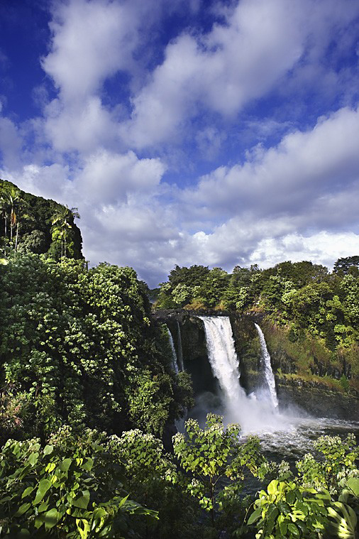 Cascade dans la forêt hawaïenne