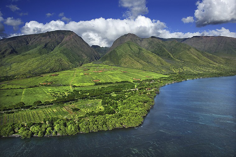 Paysage typique d'Hawaï