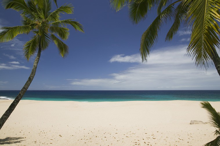 Plage paradisiaque de sable blanc