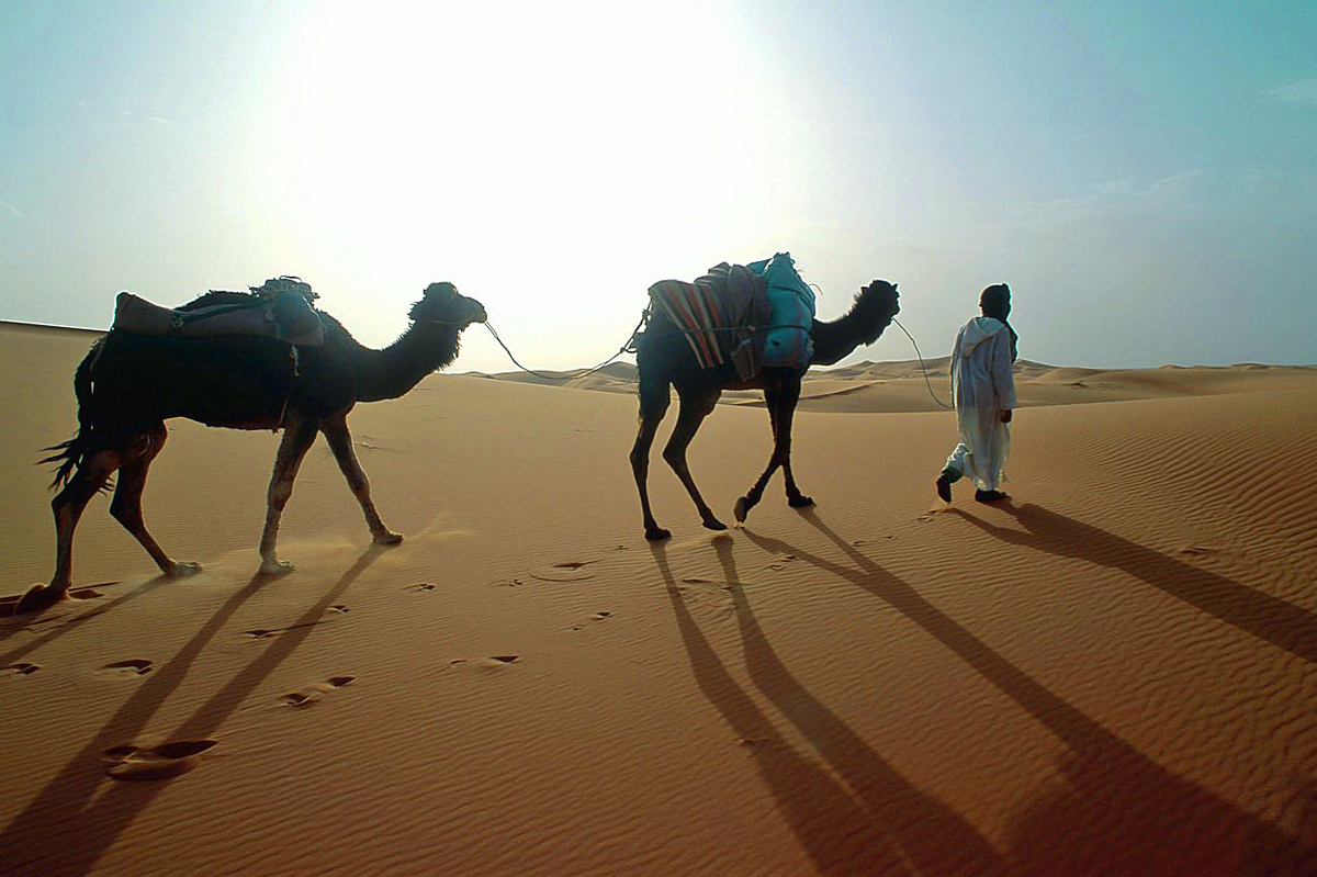 Caravane dans le sud marocain