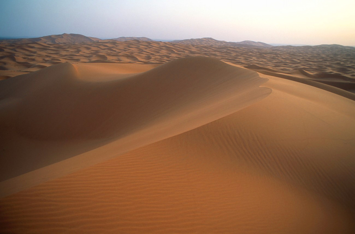 Dunes dans le désert