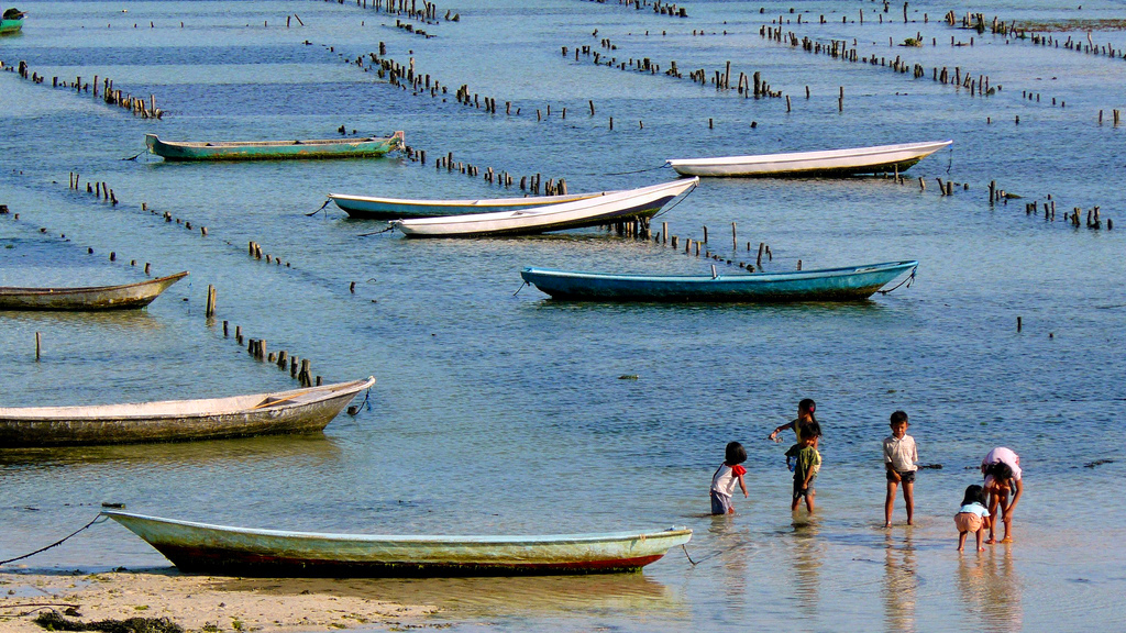 Enfants jouant dans une ferme marine d'algues